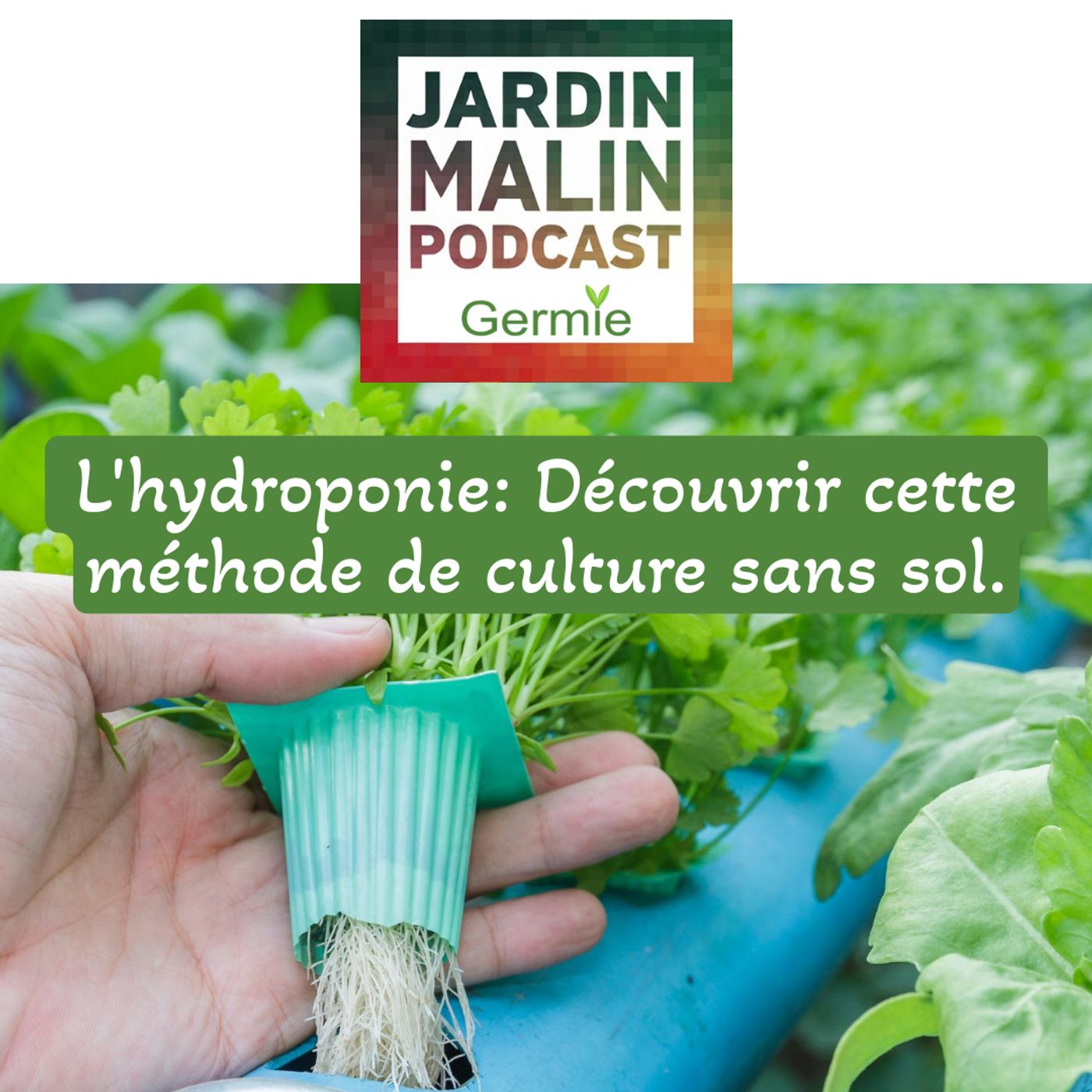 JARDIN MALIN by Germie