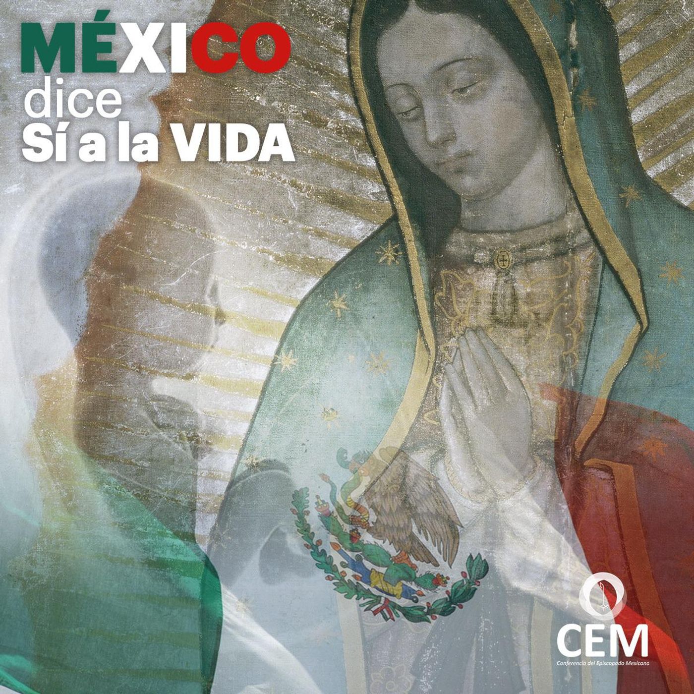 DEFENSORES de la vida y la familia