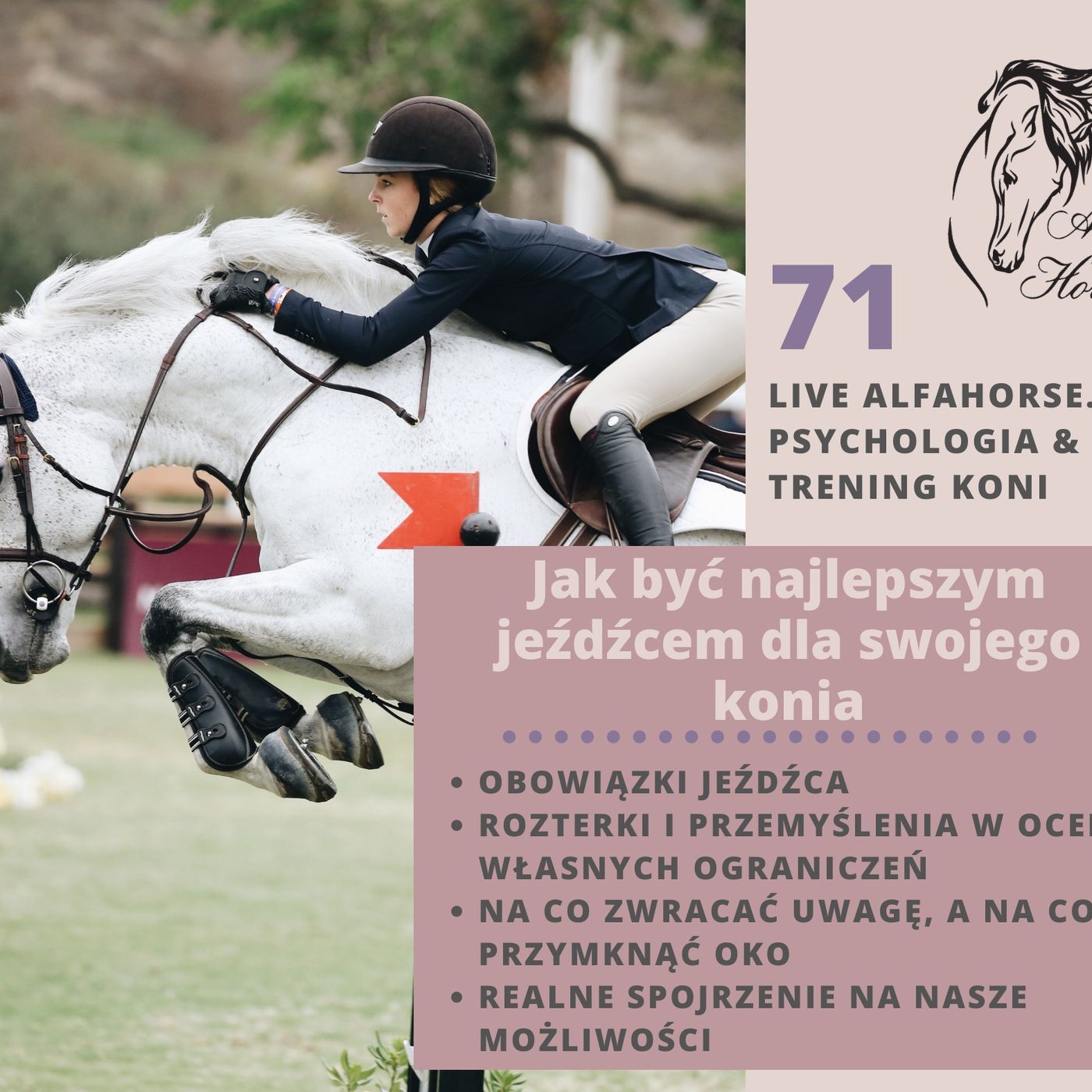 Live 71: Jak być najlepszym jeźdźcem dla swojego konia episode artwork