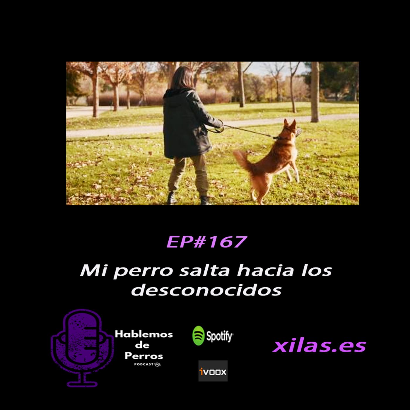 Hablemos de perros