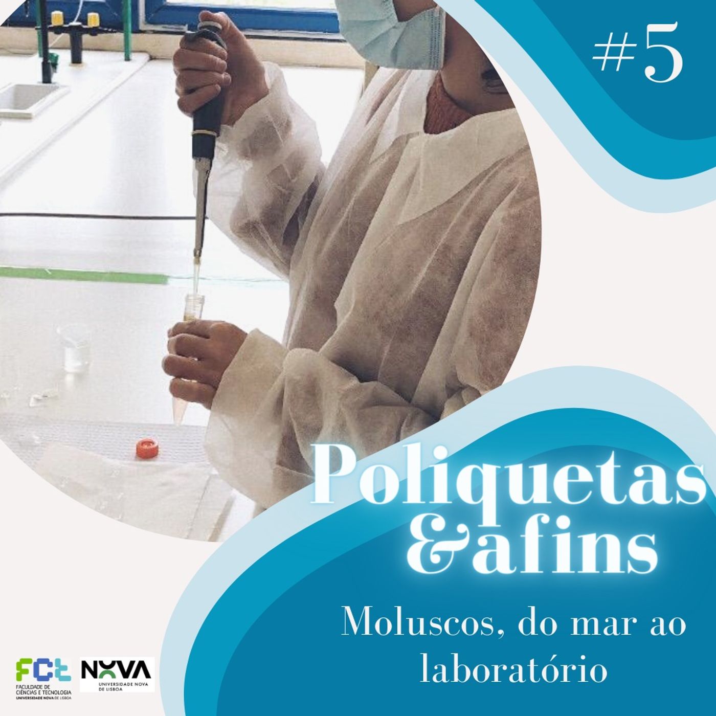 Poliquetas e afins
