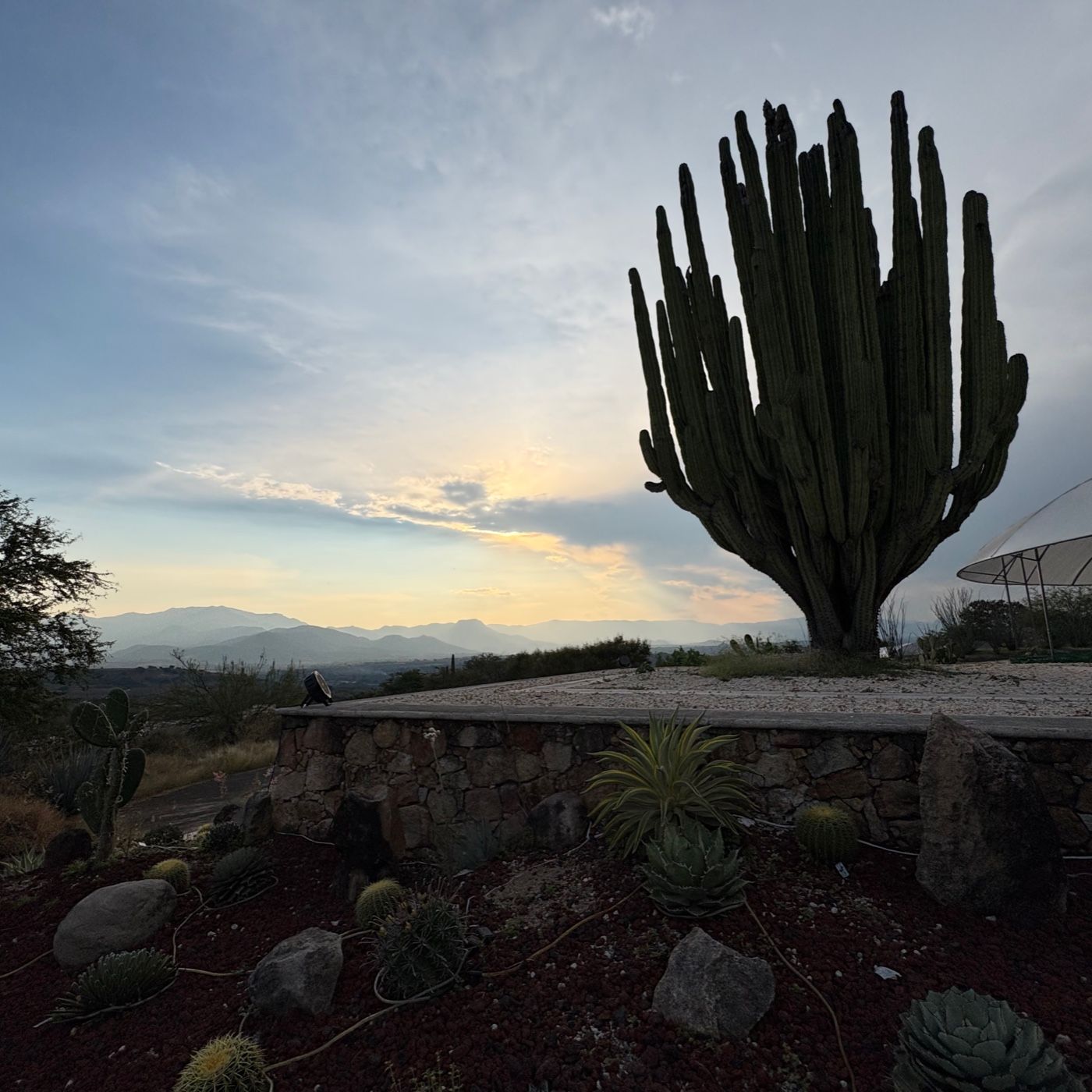 Digital Identities cover art