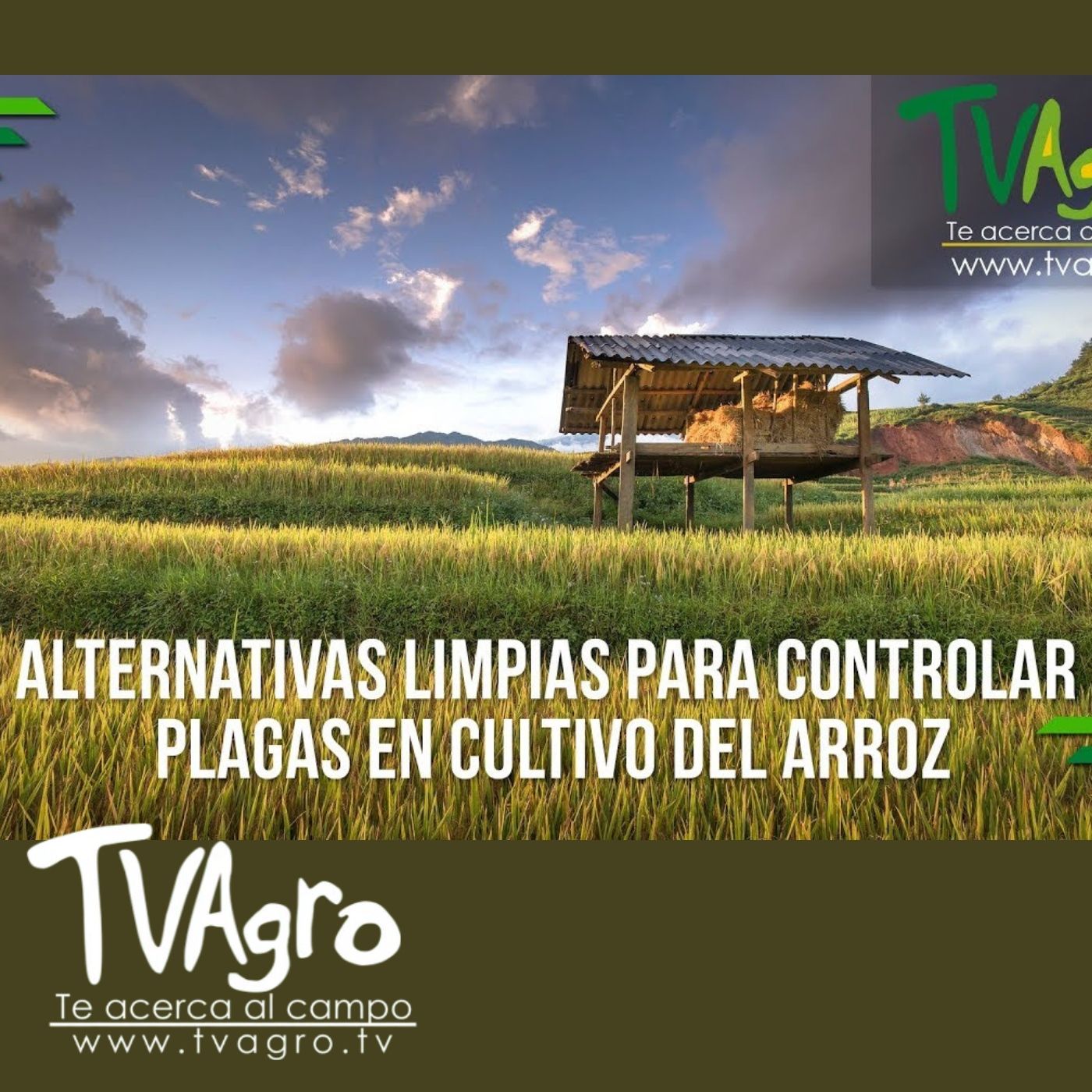 TV AGRO