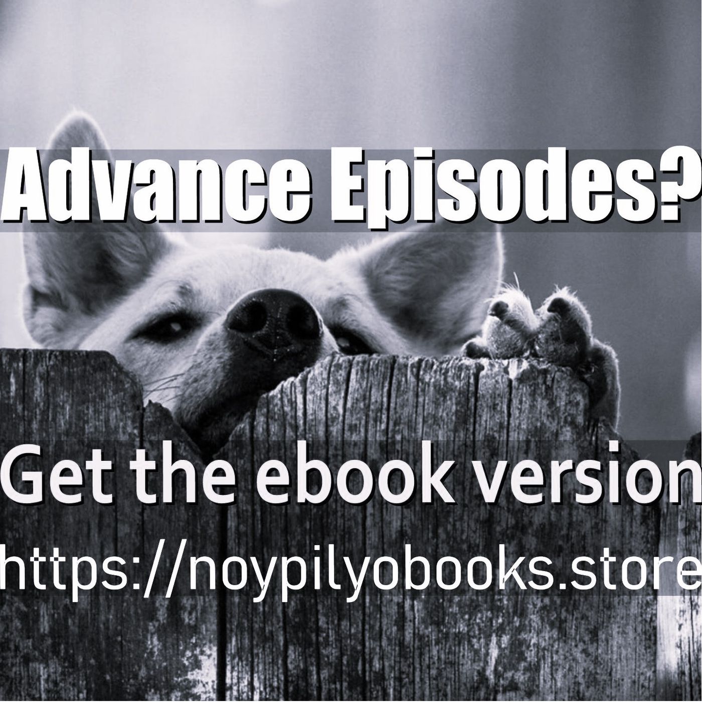 NoyPilyo Audio Stories