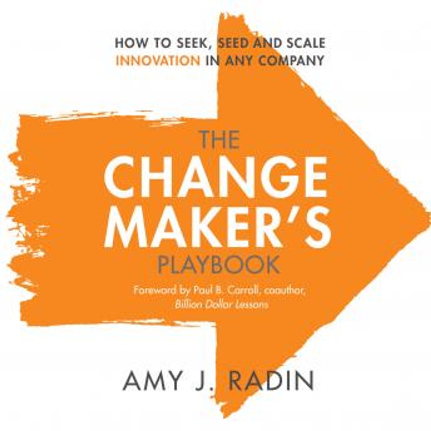 The Change Maker's Playbook: How to Seek, Seed and Scale Innovation in Any Company by Amy J. Radin episode artwork