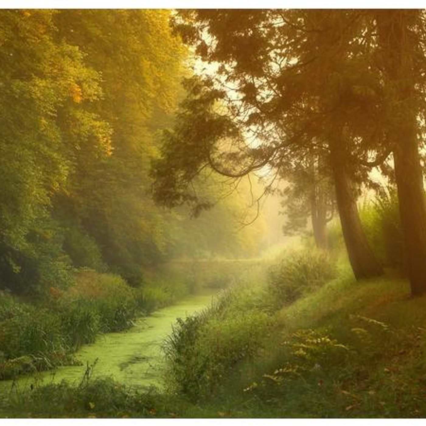 Study Urantia Paper 36 - The Life Carriers, Part 6—Living Forces episode artwork