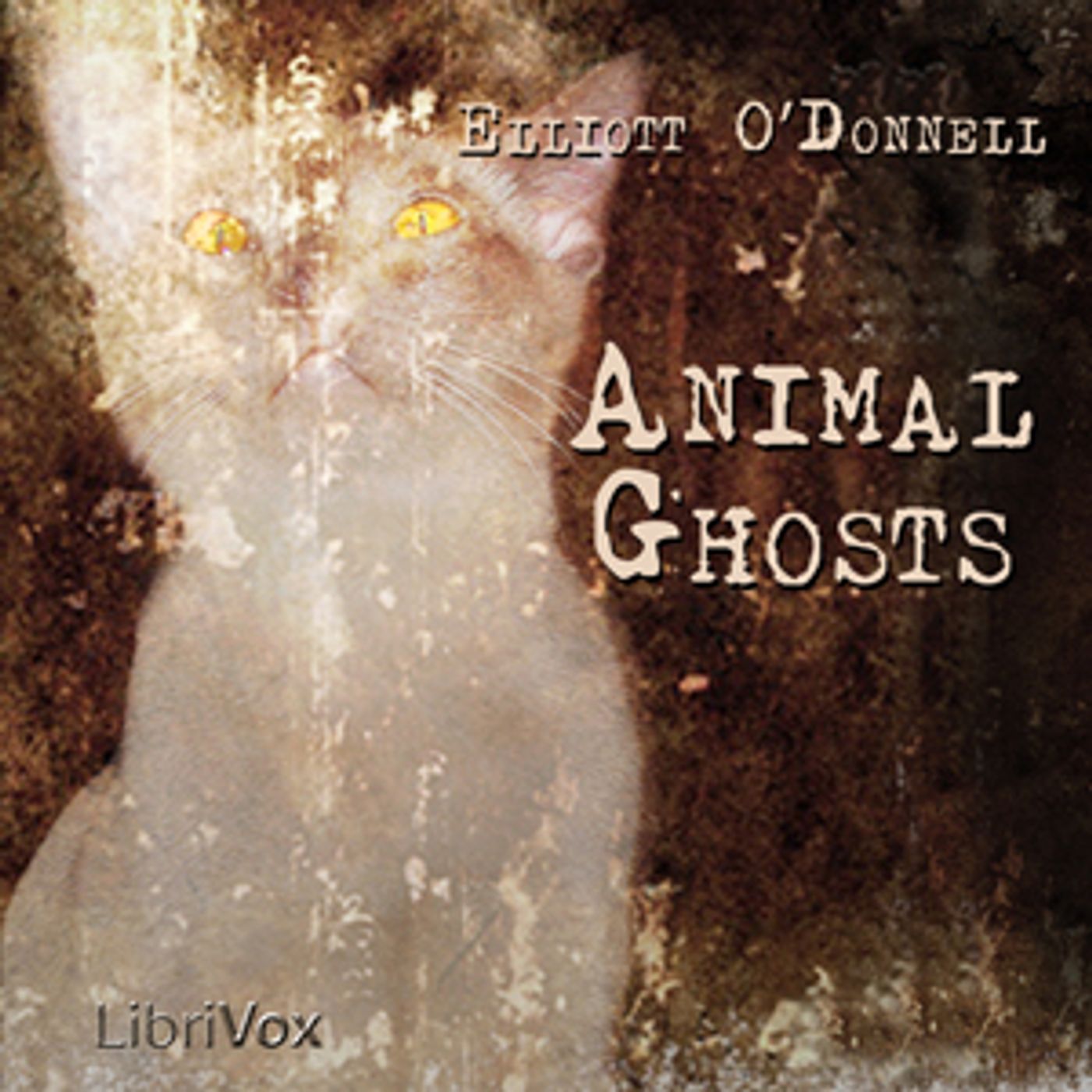 Animal Ghosts by Elliott O'Donnell