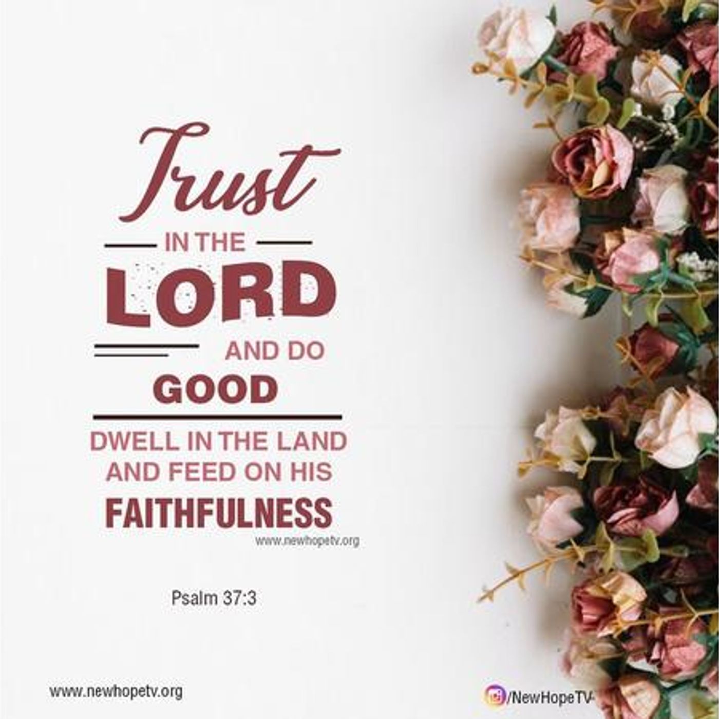 Trusting God And Doing Good In 2023 (Part 3) Psalm 37:3 - S6 [B312] episode artwork