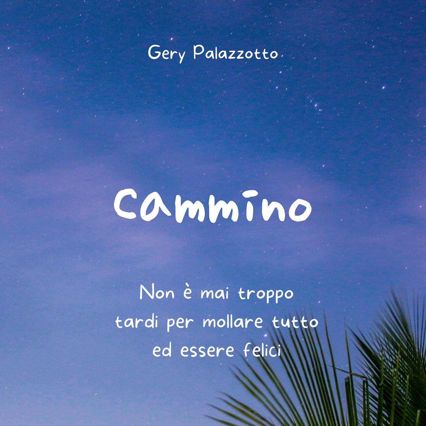 Cammino, un pretesto di felicità/1 episode artwork