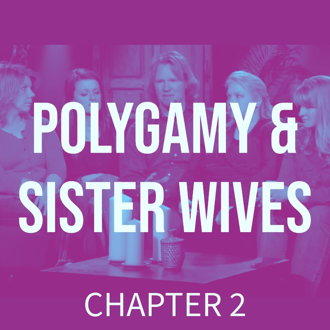 Polygamy & Sister Wives (chapter 2)