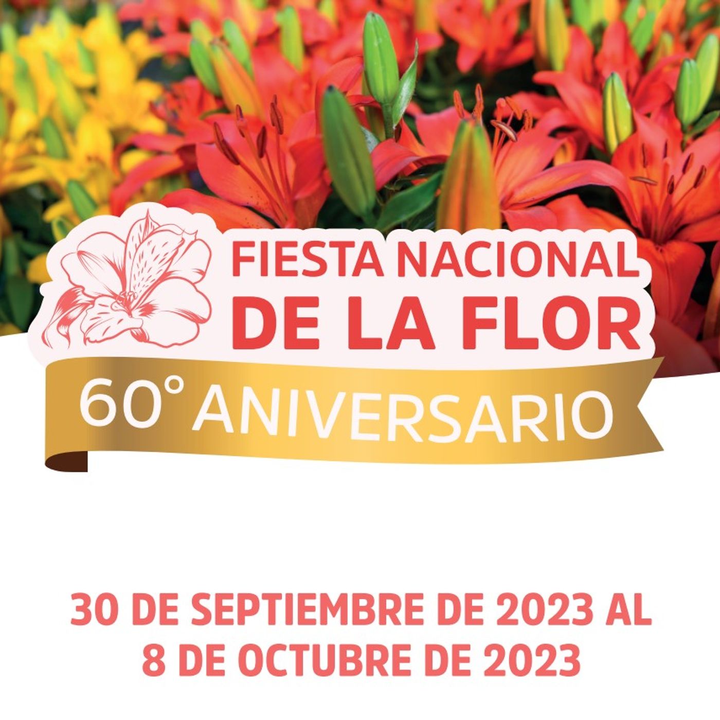 FIESTAS POPULARES BONAERENSES - Episodio 5 - Fiesta de la Flor / ESCOBAR episode artwork
