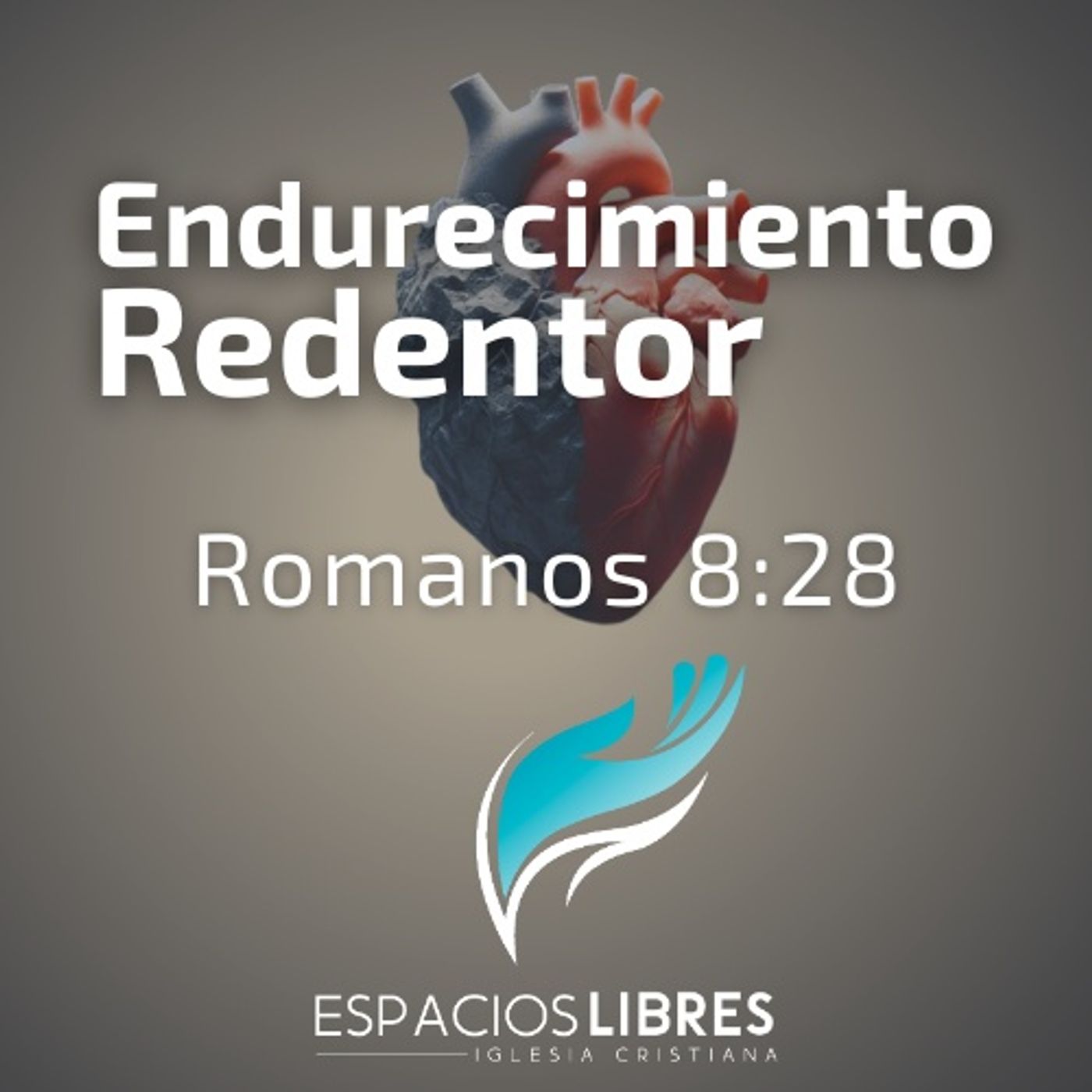 IGLESIA CRISTIANA ESPACIOS LIBRES
