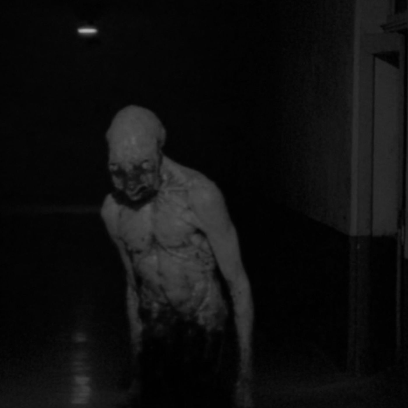 COMÍ CARNE DE NAHUAL Historias De Terror - REDE