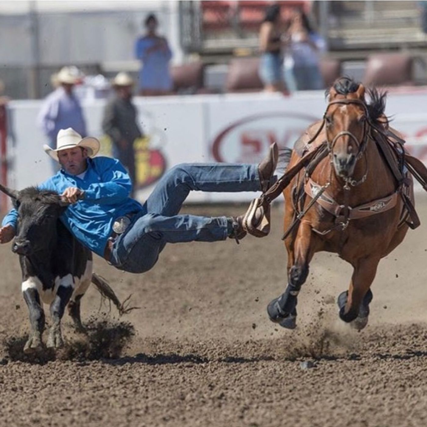 The CB Cowgirls