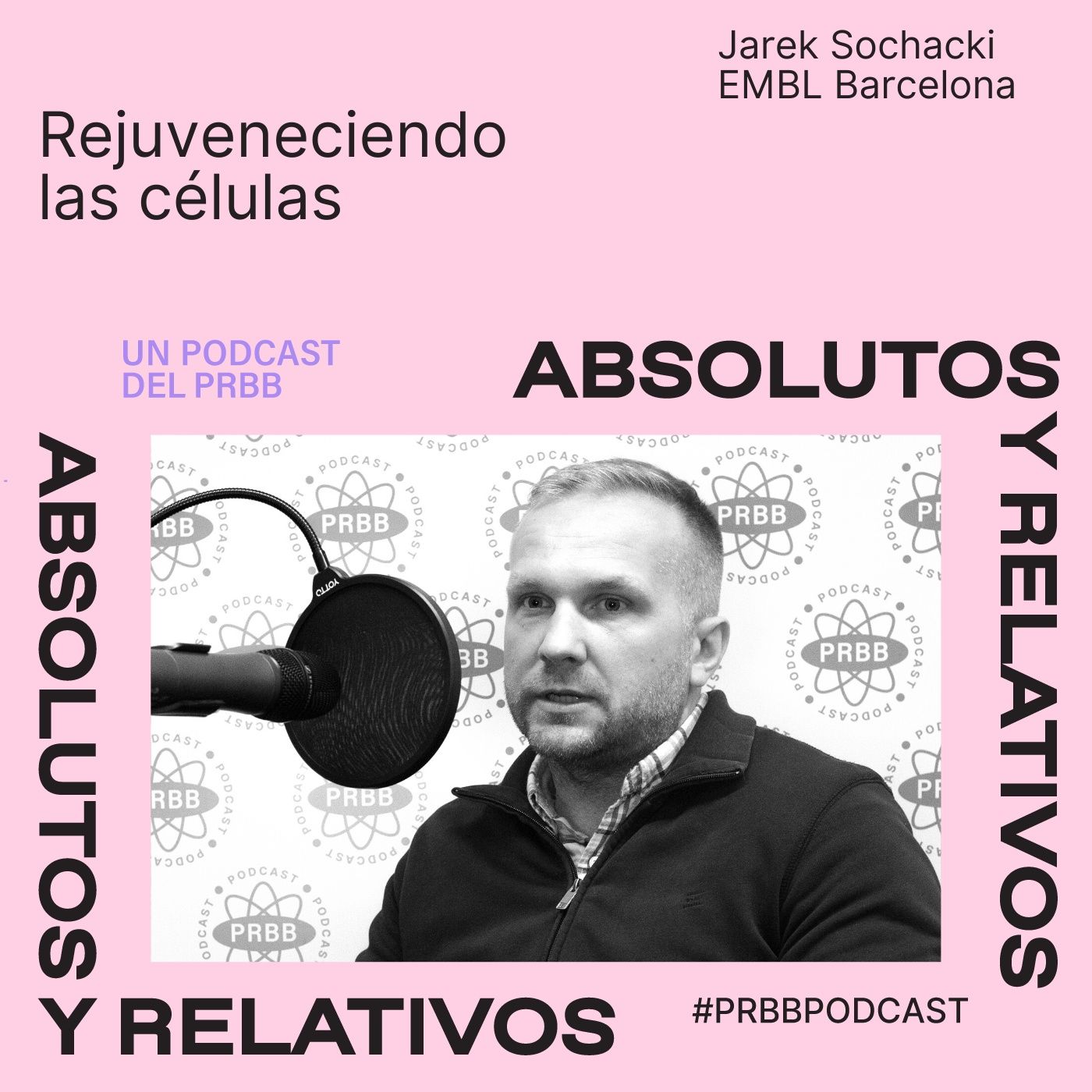 Absolutos y Relativos