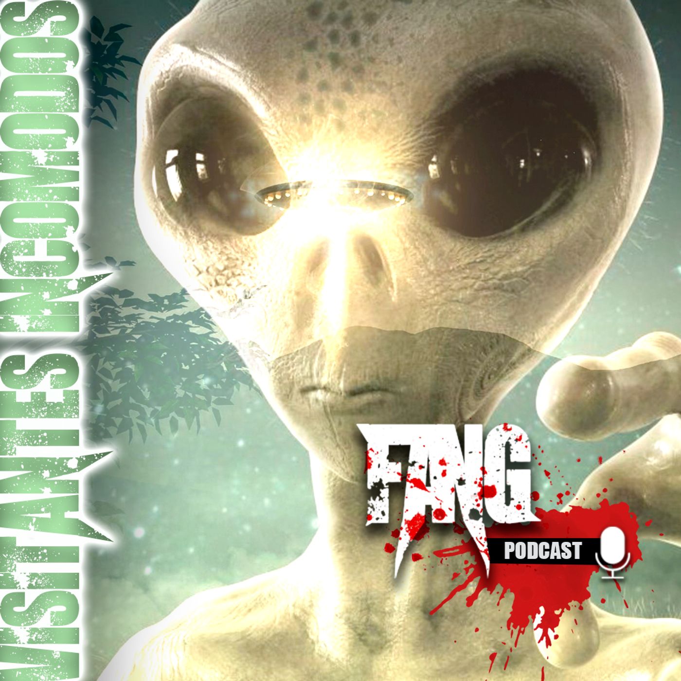 Fang Podcast