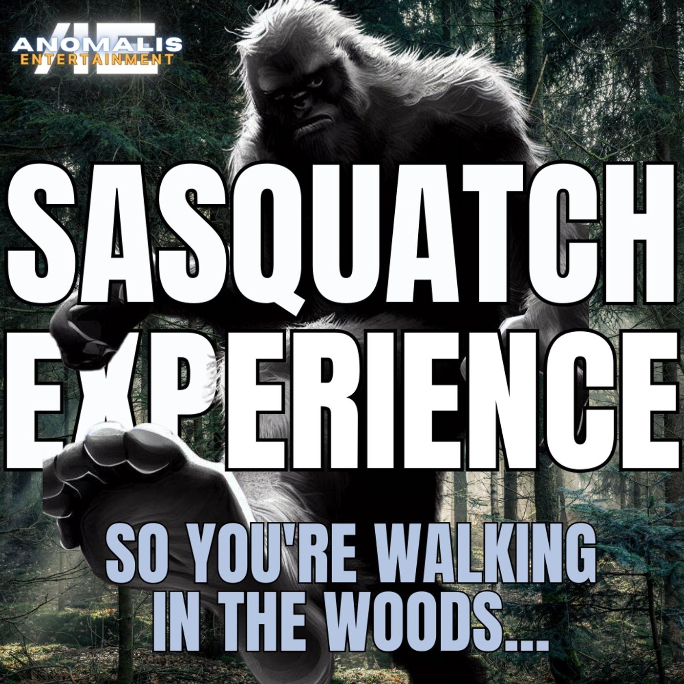 Sasquatch Experience