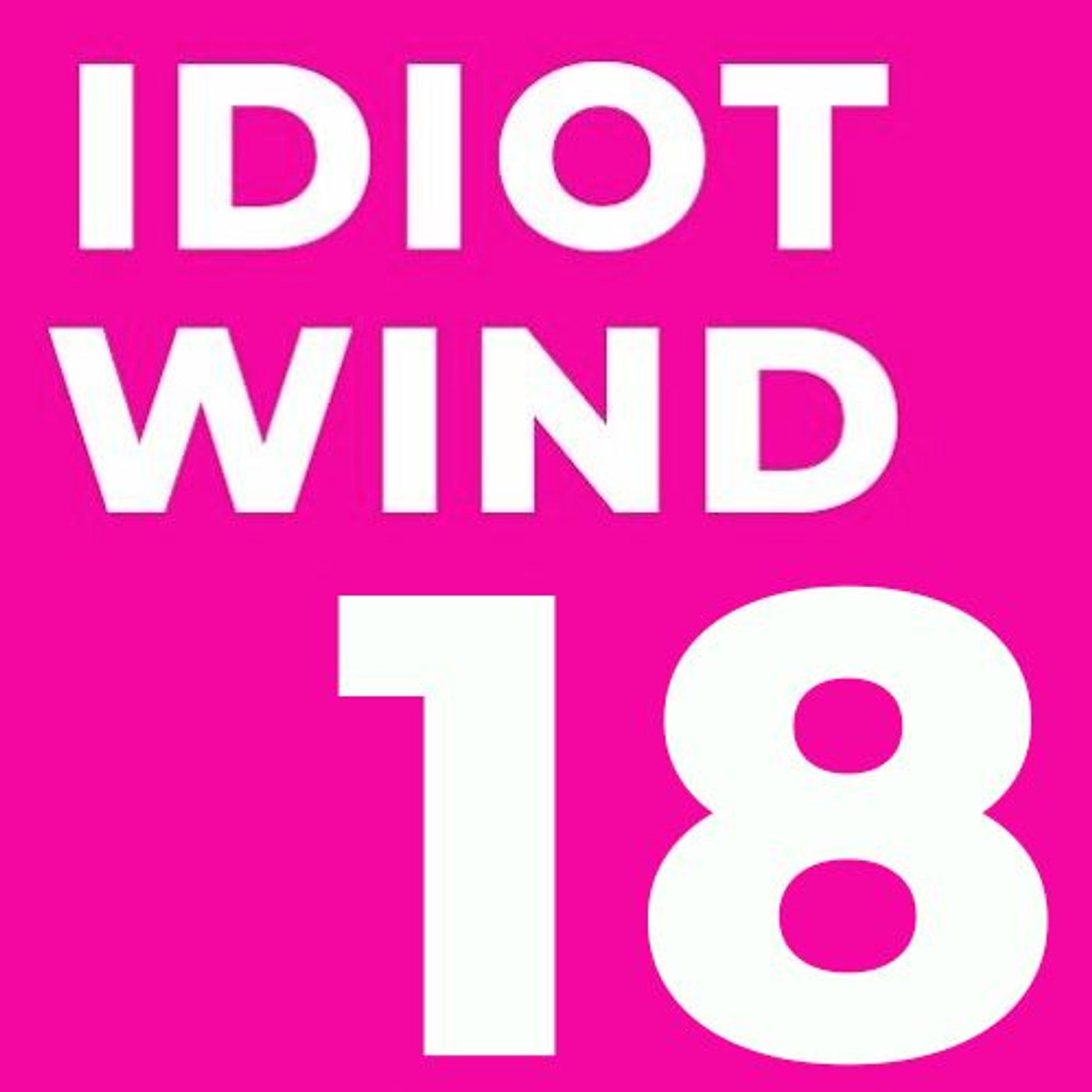 Idiot Wind Panel Show