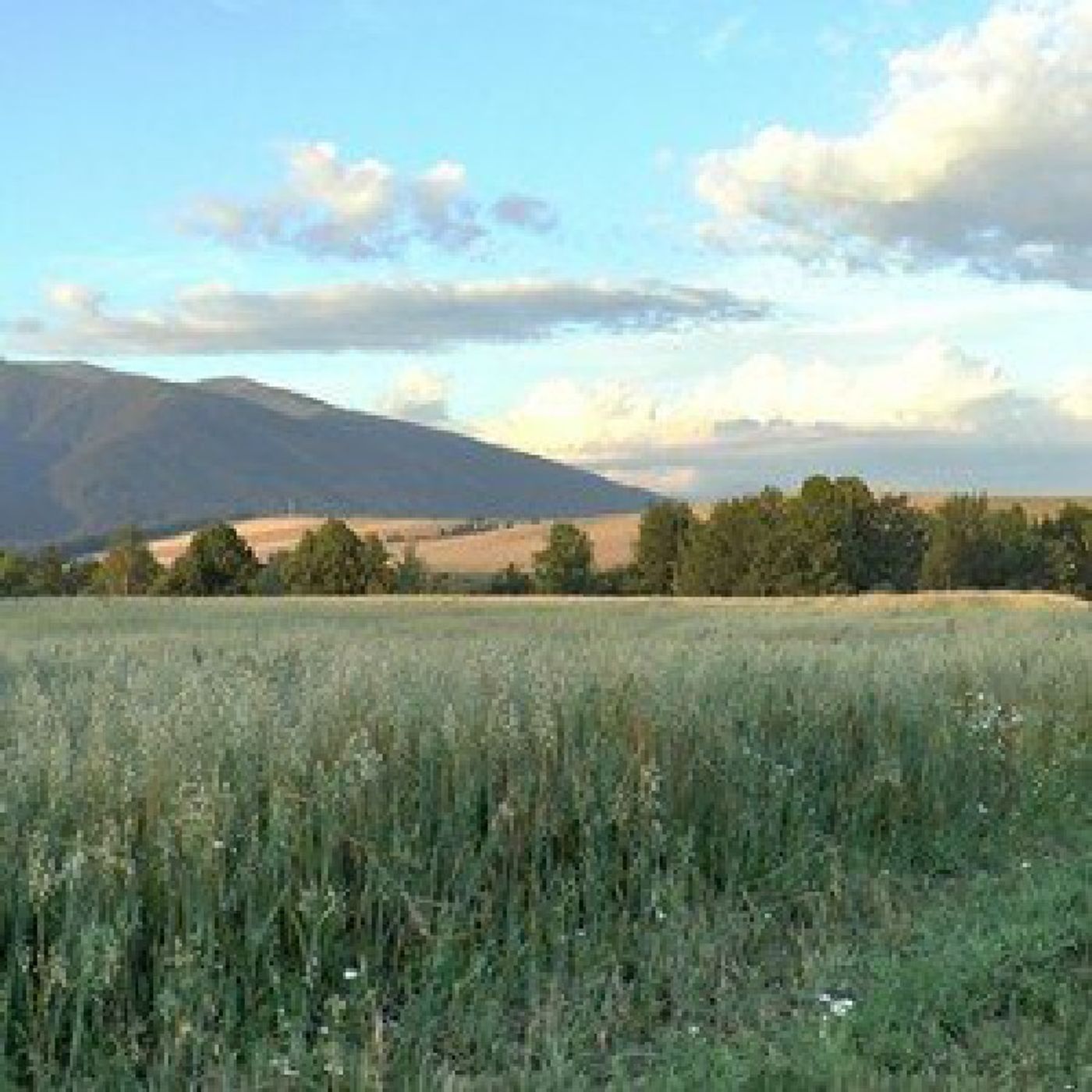Far Country: A Biblical Perspective