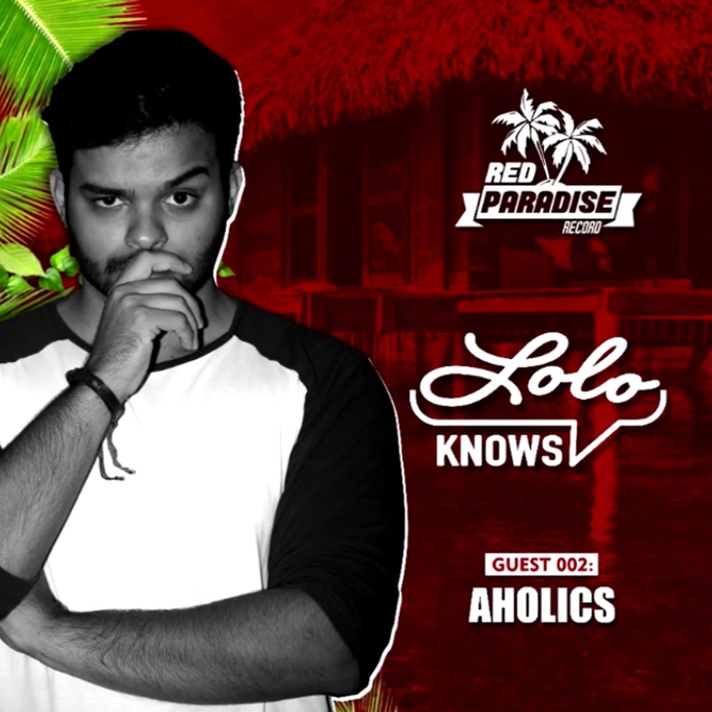 LOLO Knows DJ Mix...  Aholics, Red Paradise Records