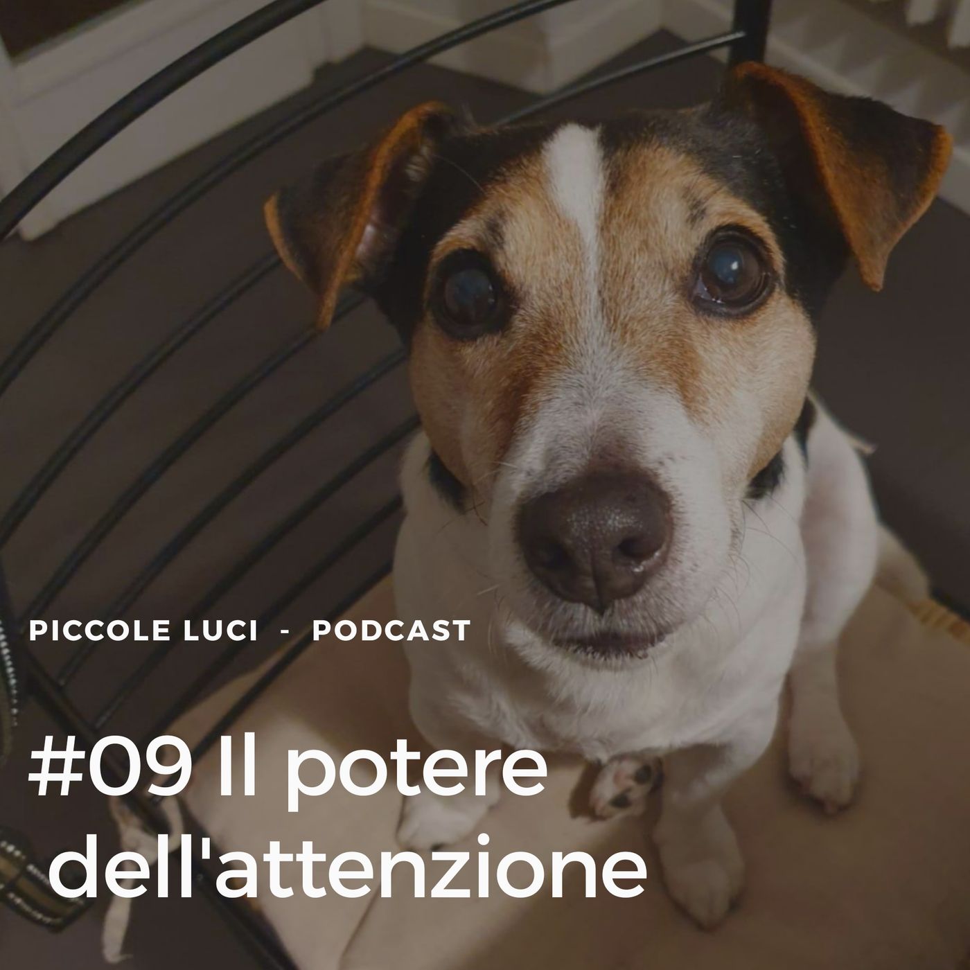 Piccole Luci