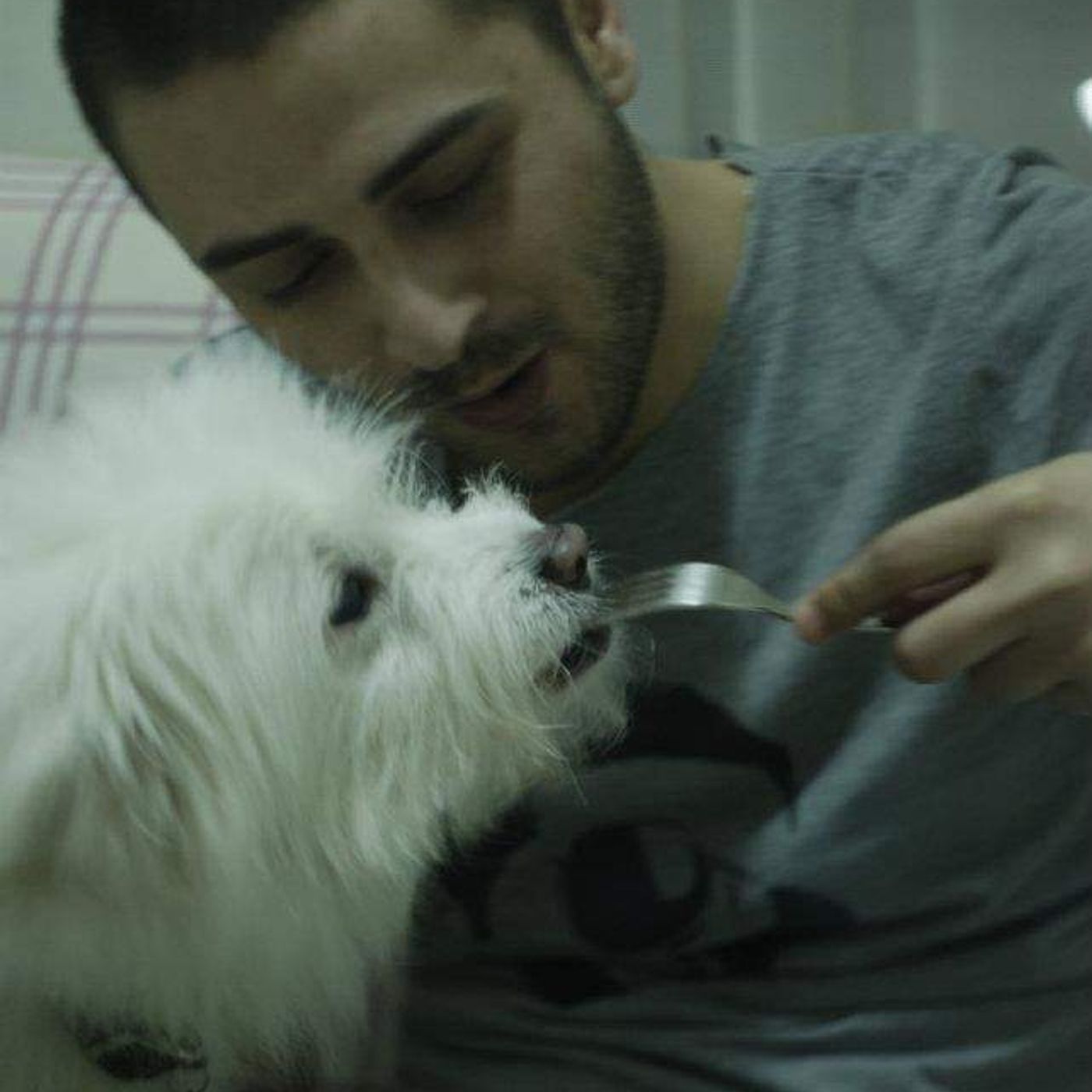 hayat için rap var
