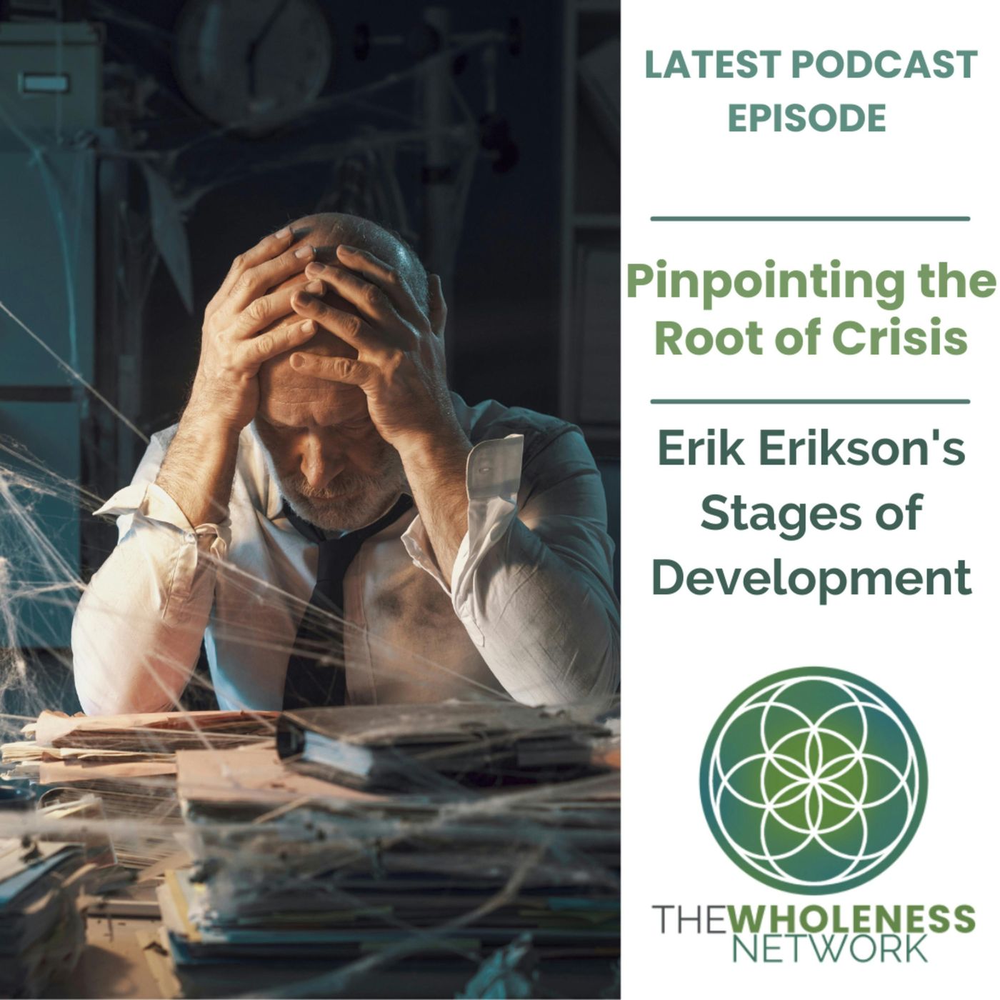 92. Pinpointing the Root of Crisis: Erik Erikson's stages of psychosocial development episode artwork
