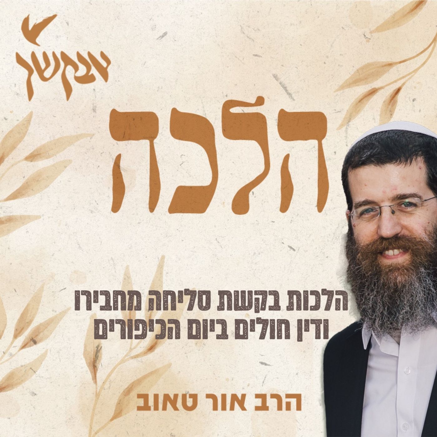 הלכות בקשת סליחה מחבירו ודין חולים ביום הכיפורים | הרב אור טאוב episode artwork