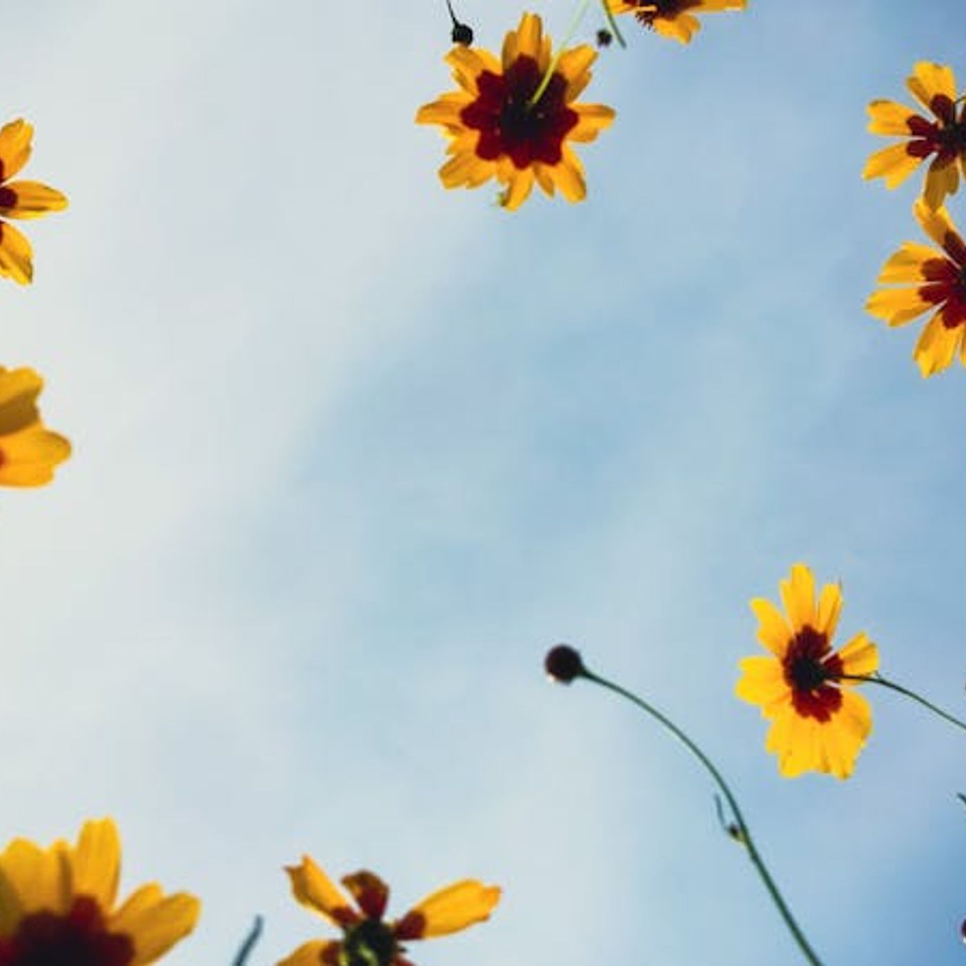 Six Reasons Jesus Left Earth After Easter