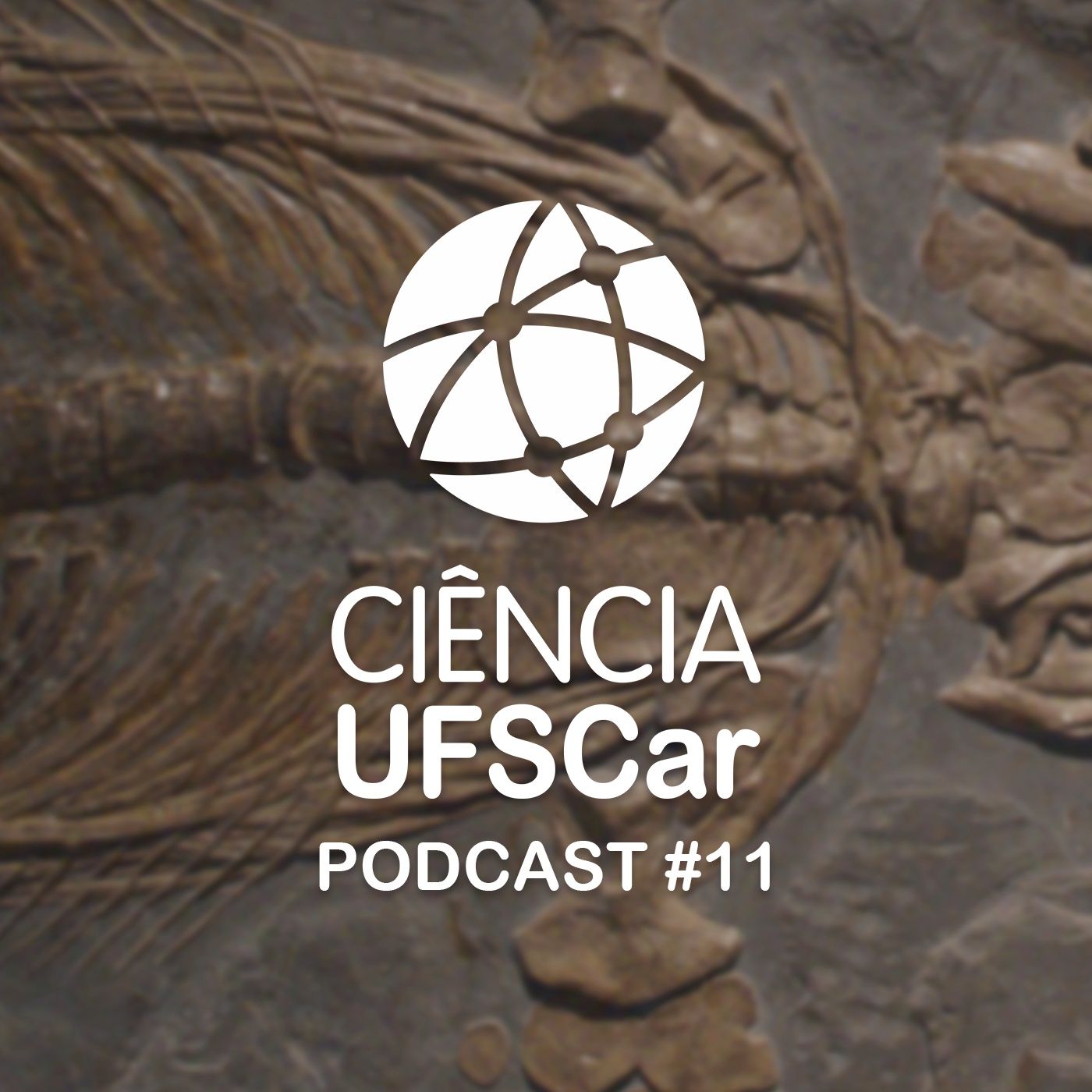 Ciência UFSCar