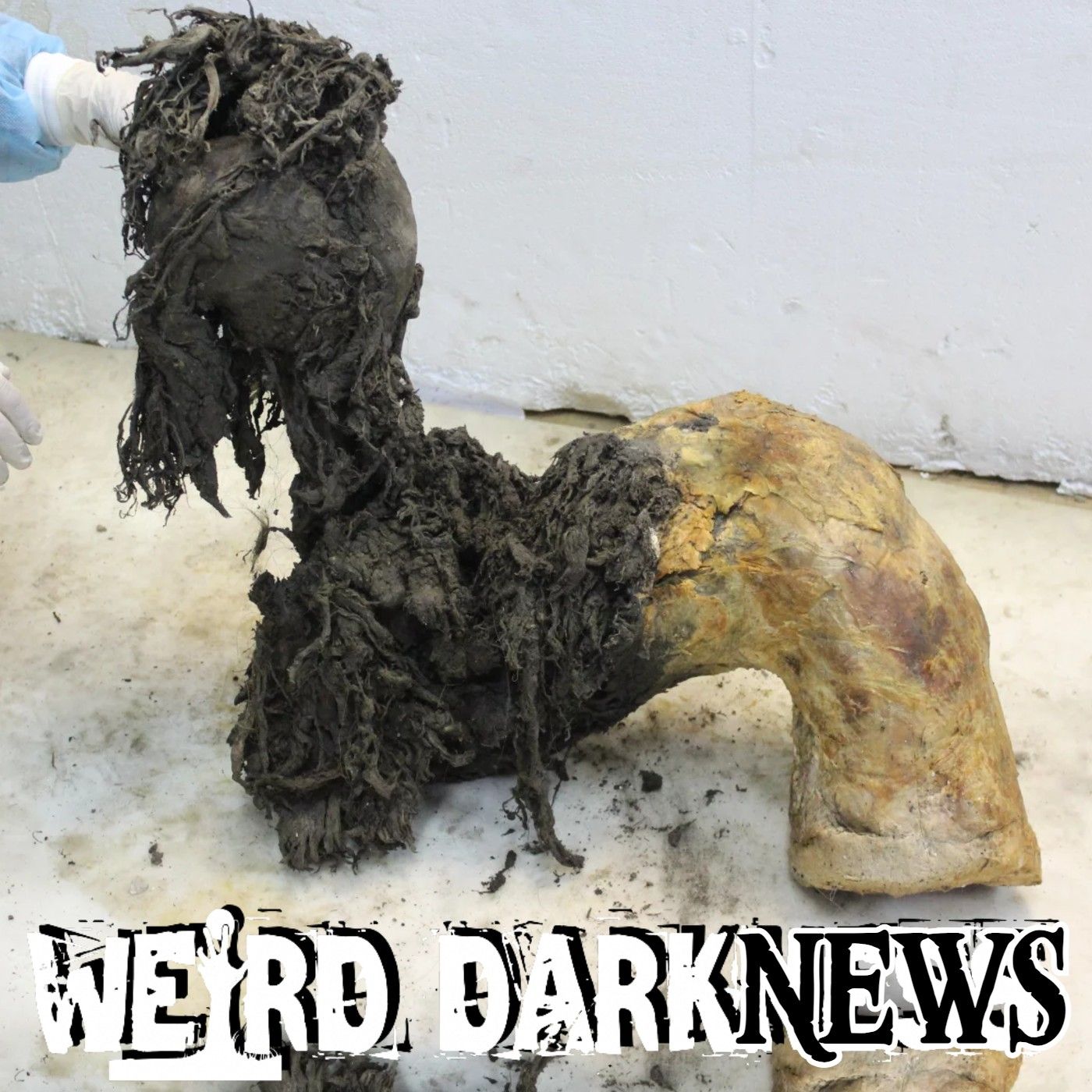 The RNA Inside This Ice Age Mammoth Exposed Something Scientists Didn't Expect