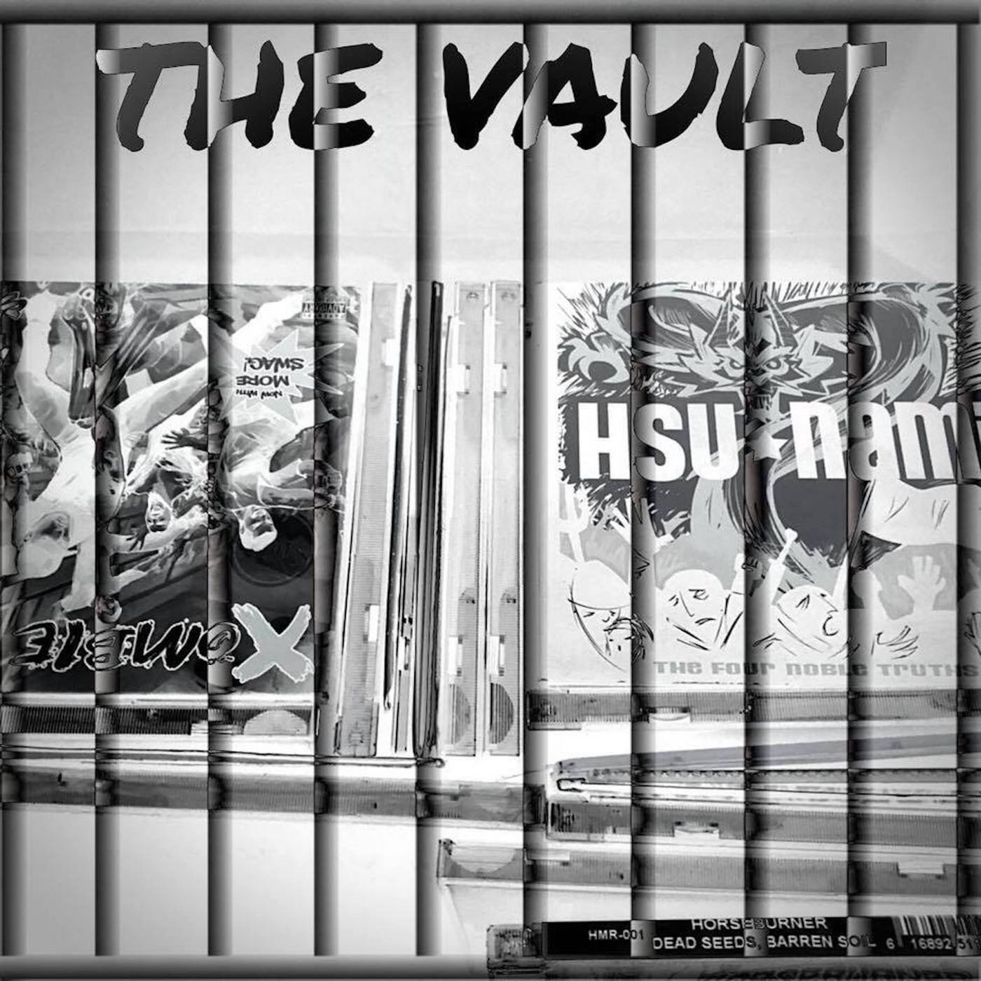 The Vault From The Dungeon Radio V