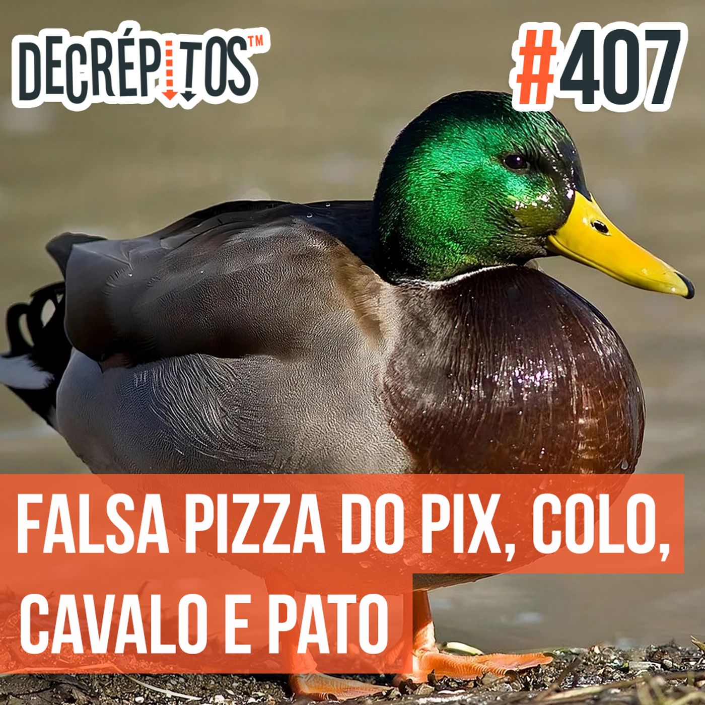 Decrépitos 407 - VACILO NEWS: Falsa pizza do Pix, Colo, Cavalo e Pato Explosivo