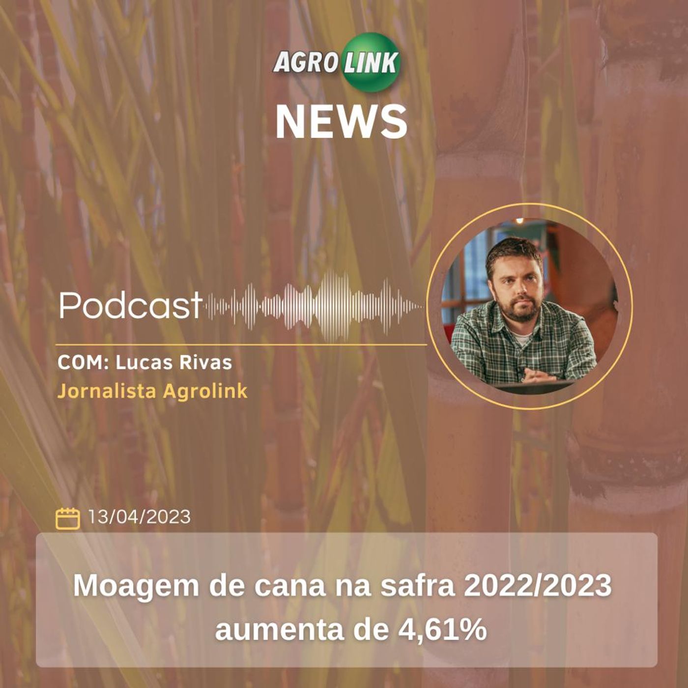 Abiove eleva em 1,5% projeção para exportações brasileiras de soja episode artwork