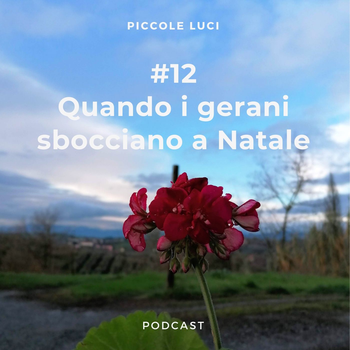 Piccole Luci