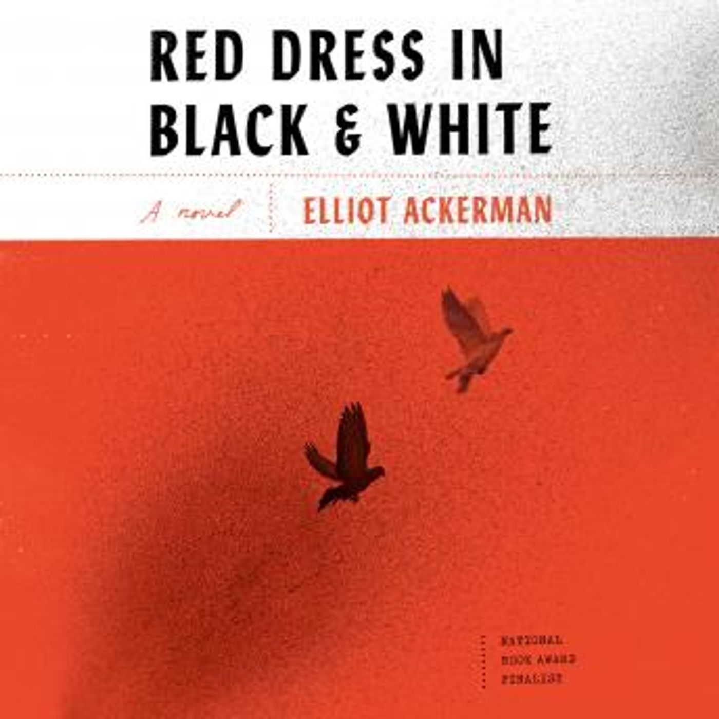 Explore New Full Audiobooks in Fiction, Drama