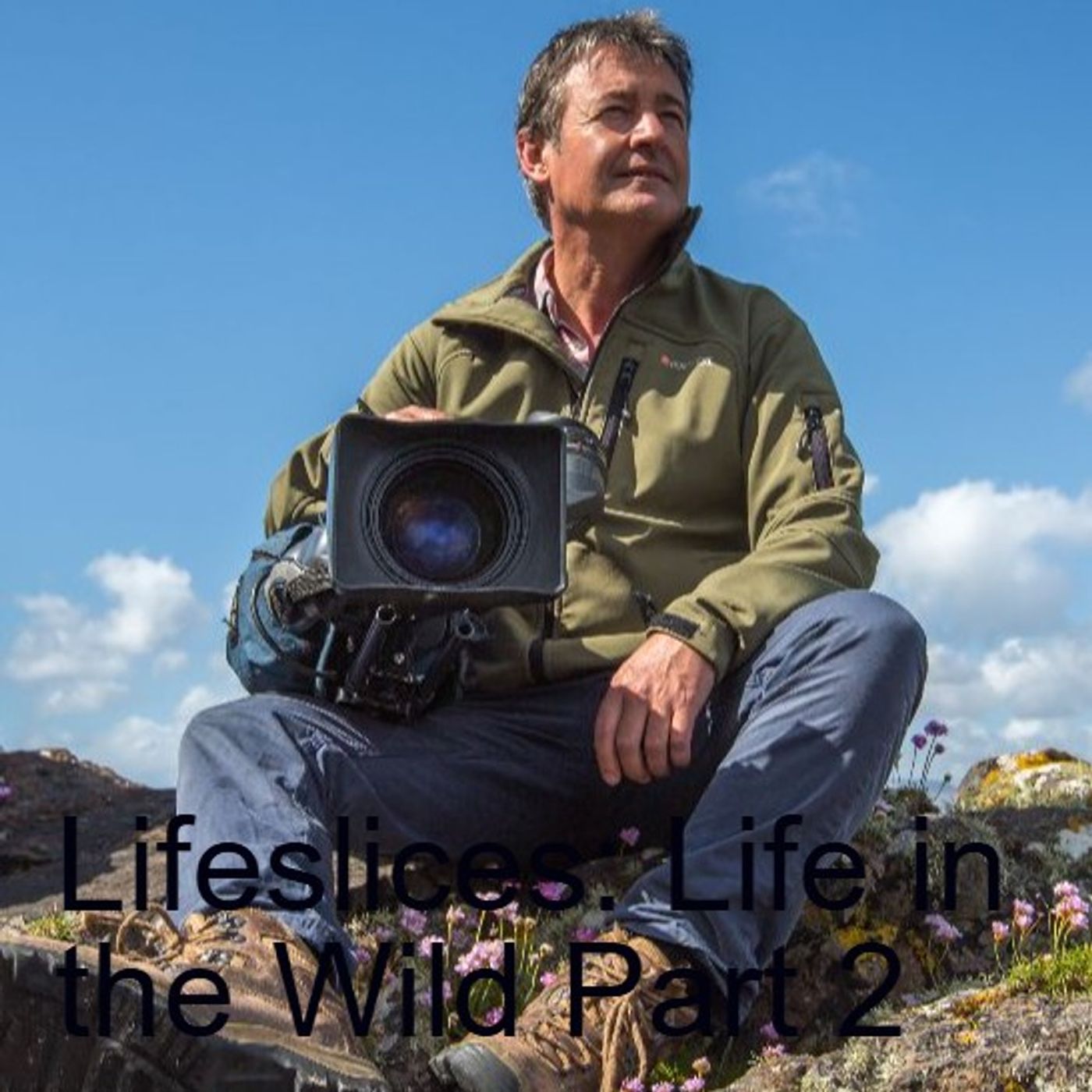 Lifeslices: Life in the Wild Part 2