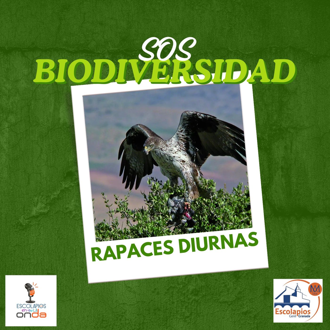 ConCiencia verde