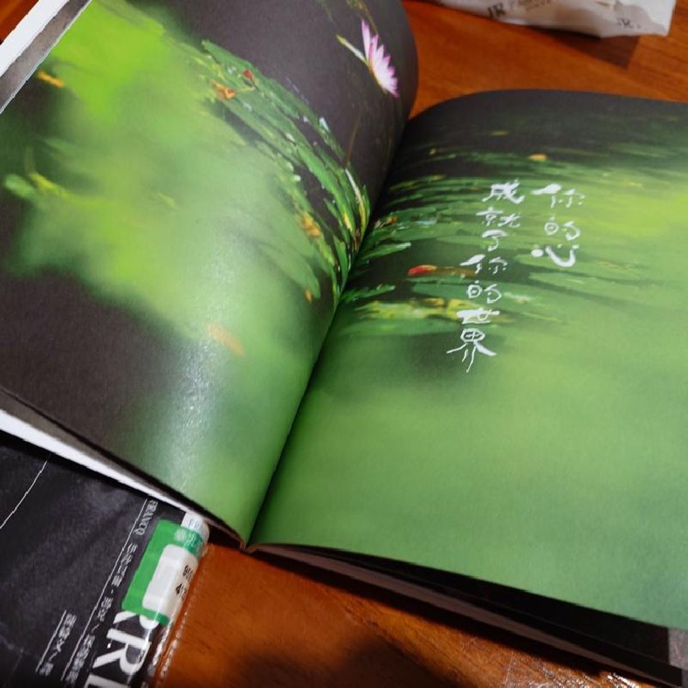 Ep402 - Diane's Tarot Diary: 我的塔羅日記 讀書筆記•回到生命的喜馬拉雅-3