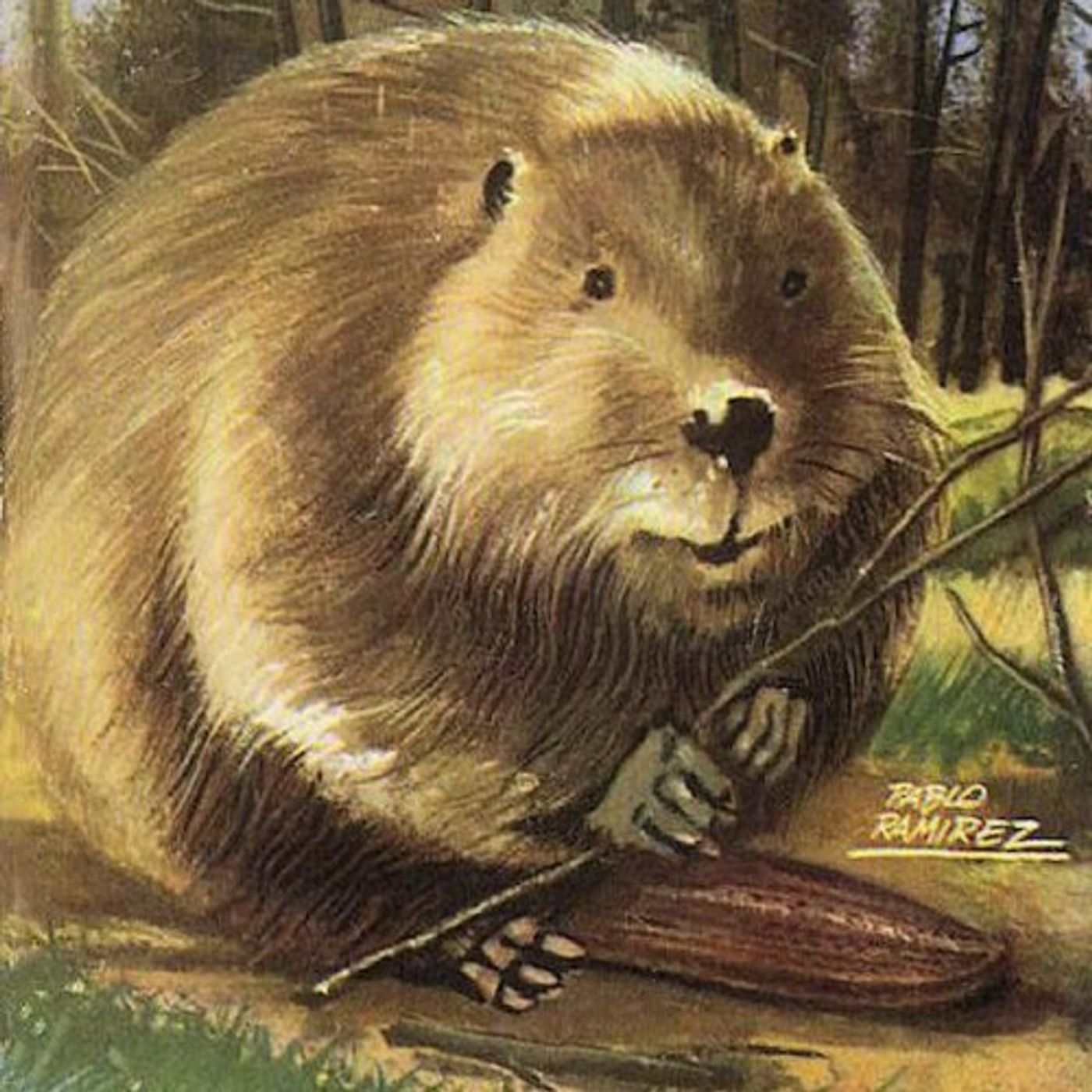 (Resumen) Piko, el castor - C. Bernard Rutley