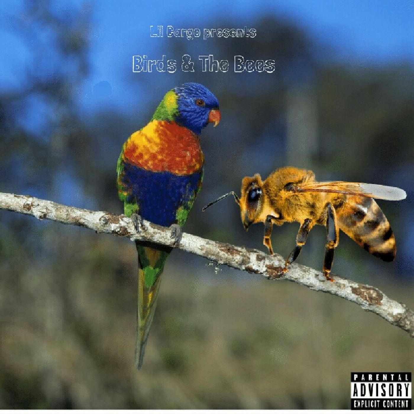 Birds & The Bees