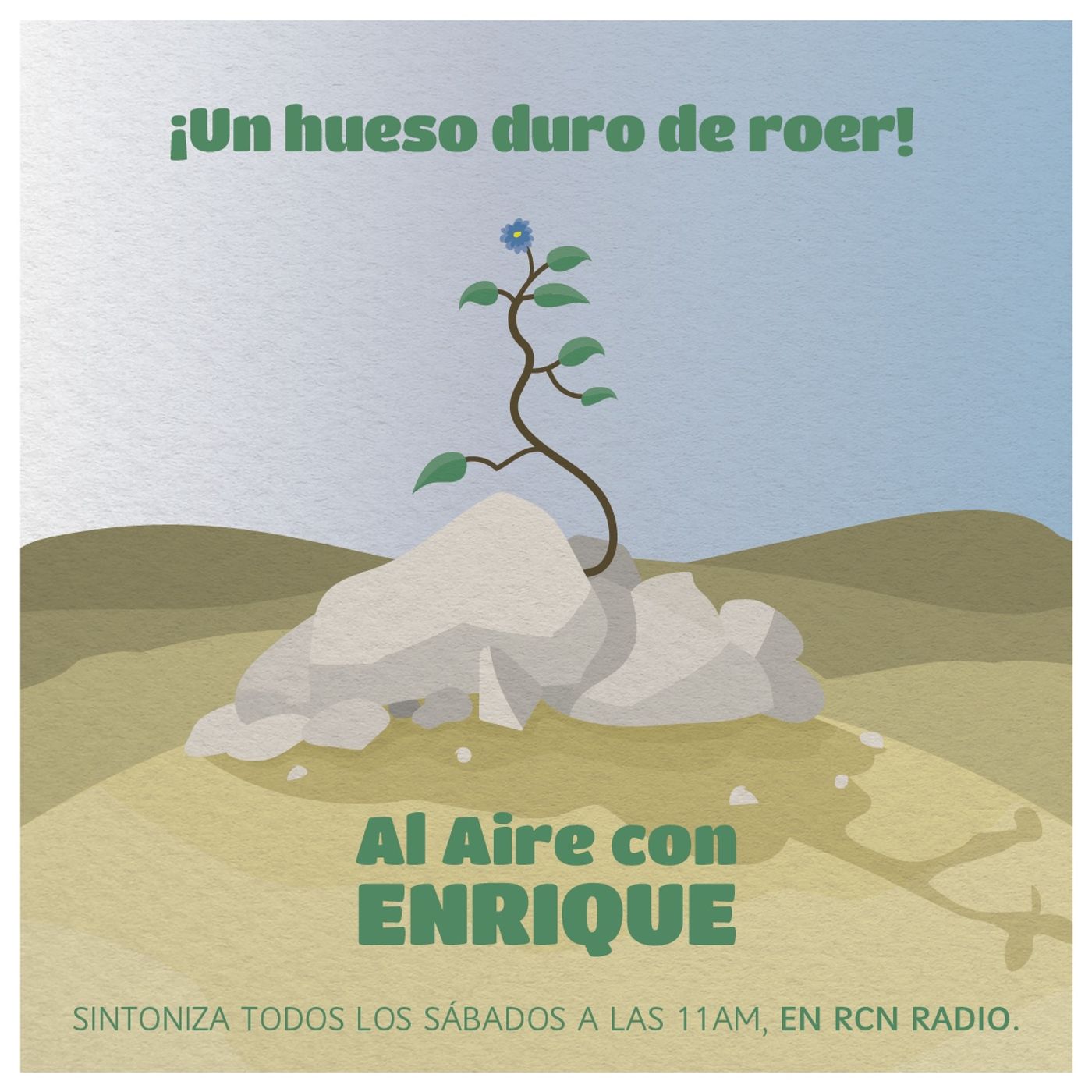 Al aire con Enrique