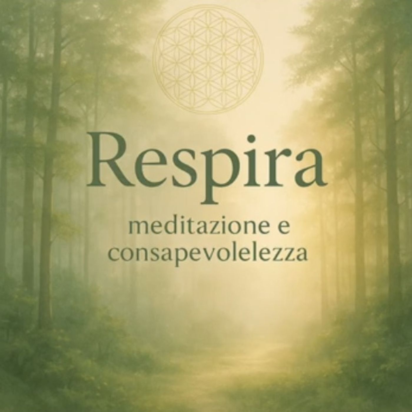 Repira: meditazione e consapevolezza