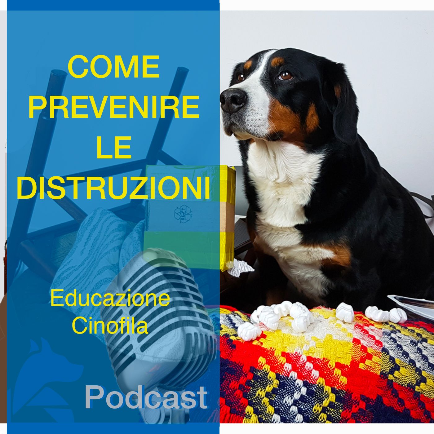 StiCani Educazione Cinofila