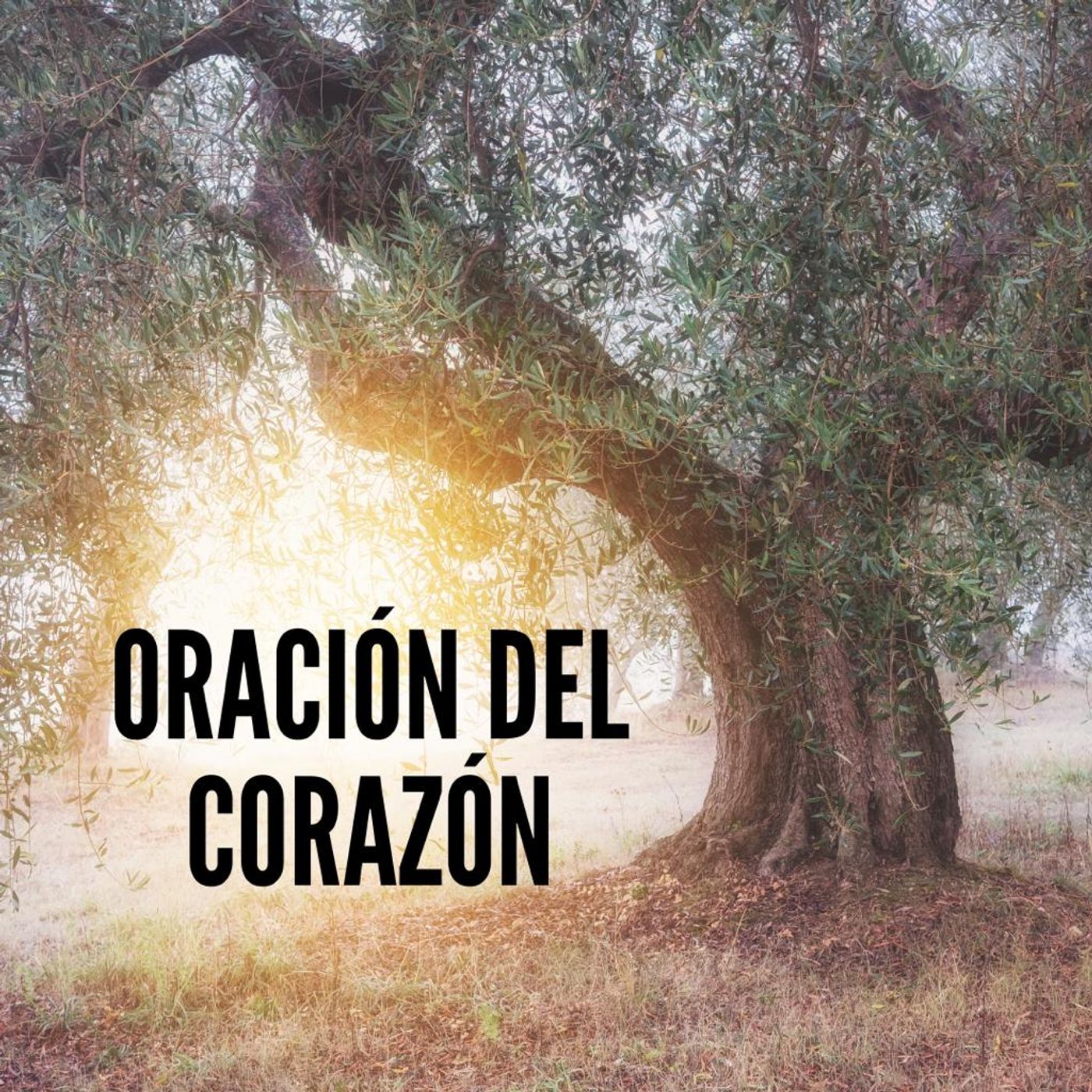 ORACIÓN DEL CORAZÓN 05-01-24
