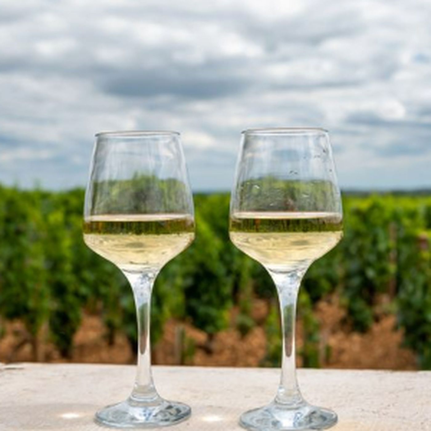 CasaLoce.com Audio Blog