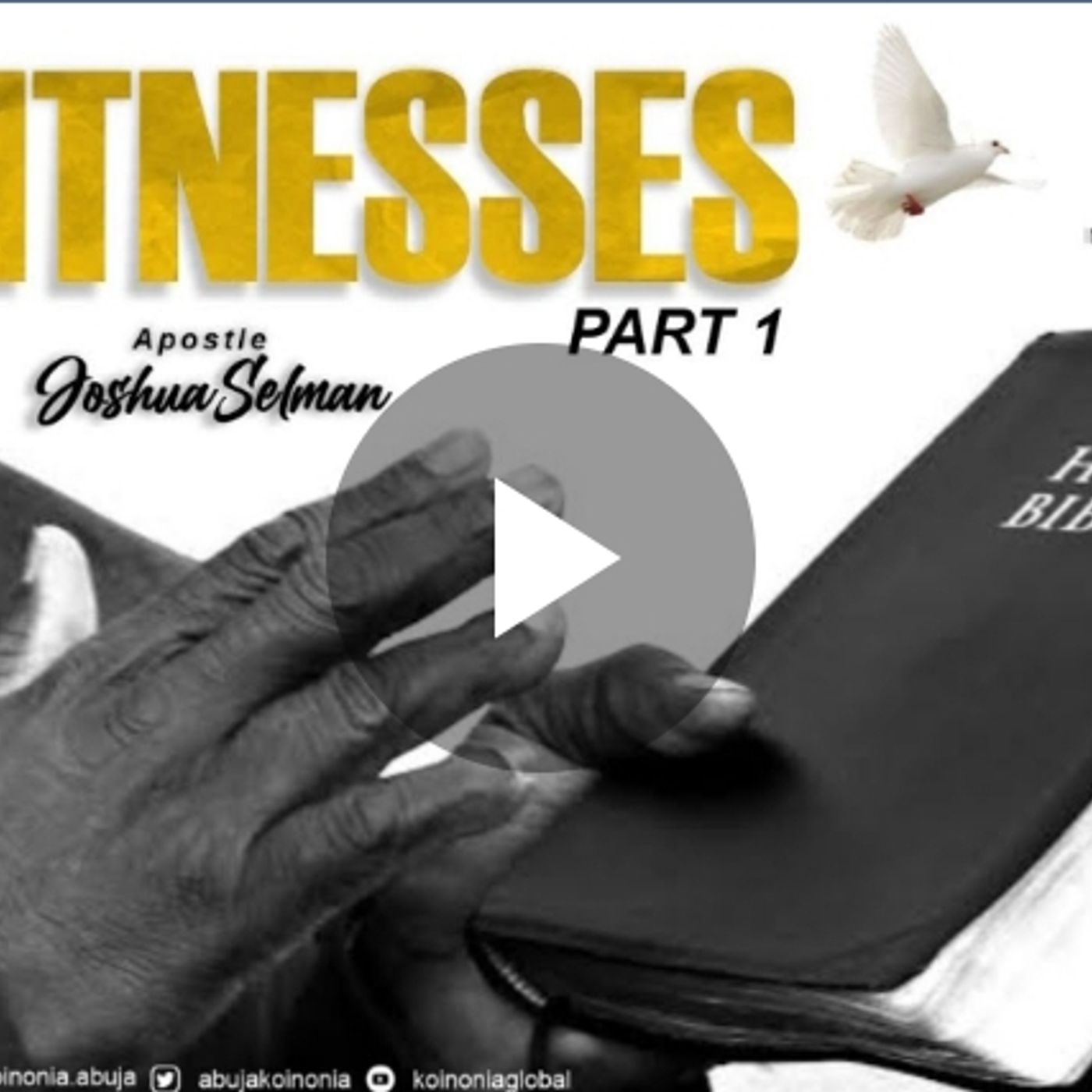 WITNESSES