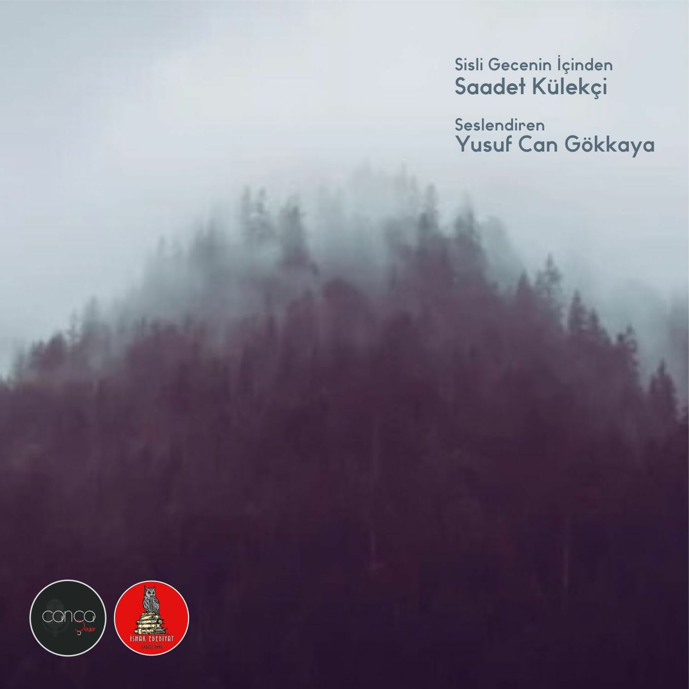 Öykü | Saadet Külekçi - Sisli Gecenin İçinden episode artwork