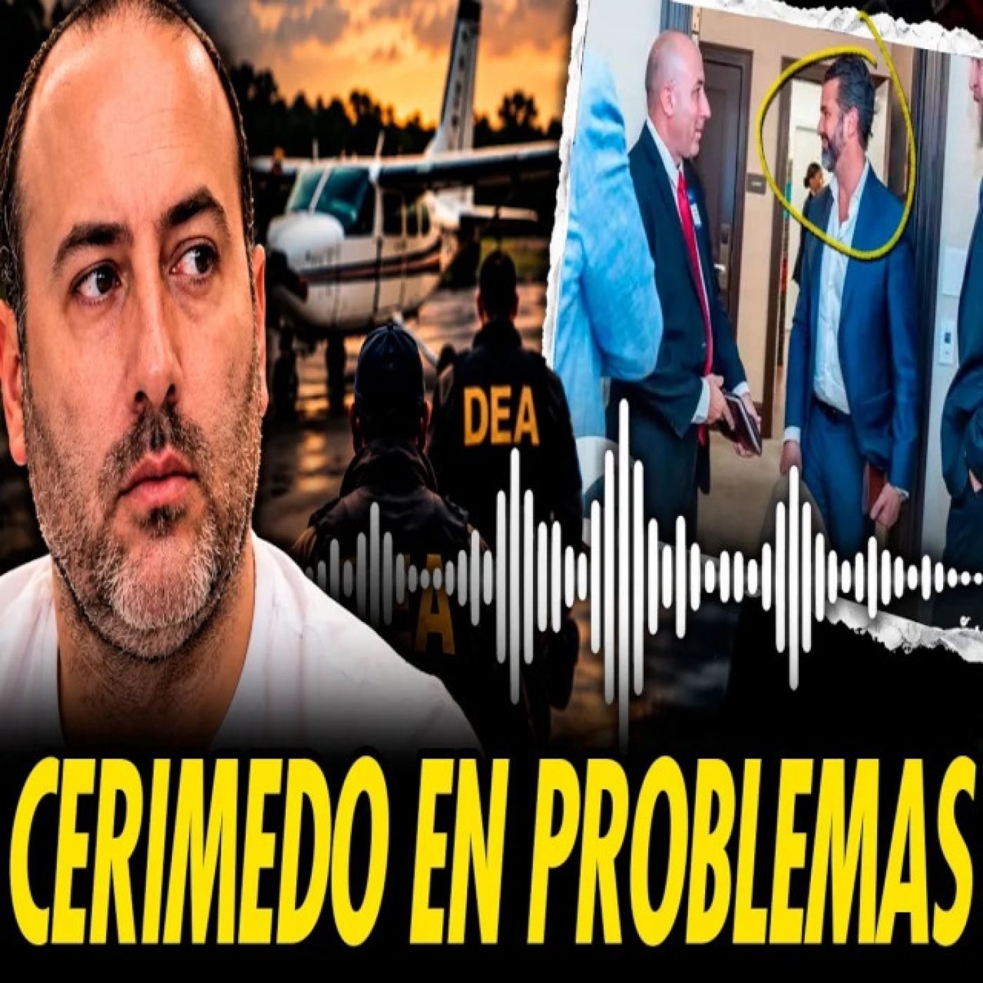 Portada de Pandemia Digital