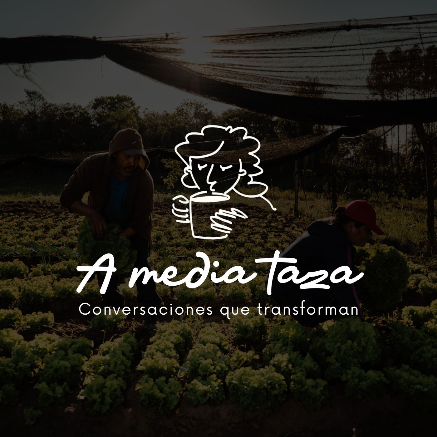 Portada de A Media Taza